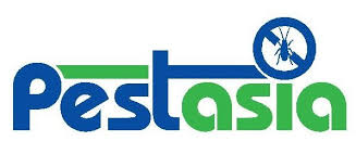 Pestasia